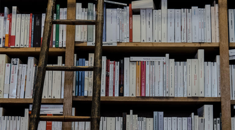 El ocaso de la obsolescencia, el amanecer de la bibliodiversidad 